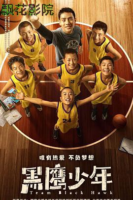 黑鹰少年