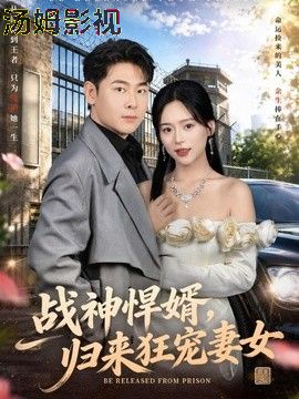 战神悍婿，归来狂宠妻女