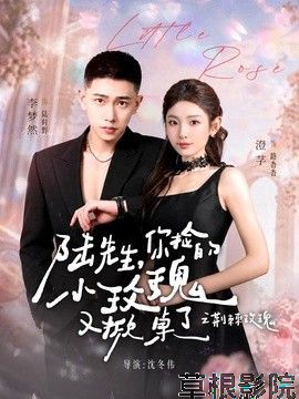 陆先生，你捡的小玫瑰又掀桌了之荆棘玫瑰（太子爷的小玫瑰又掀桌了）