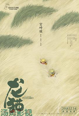 龙猫